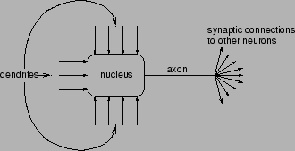 \includegraphics[width=0.6\textwidth]{figs/neuron.fig.eps}